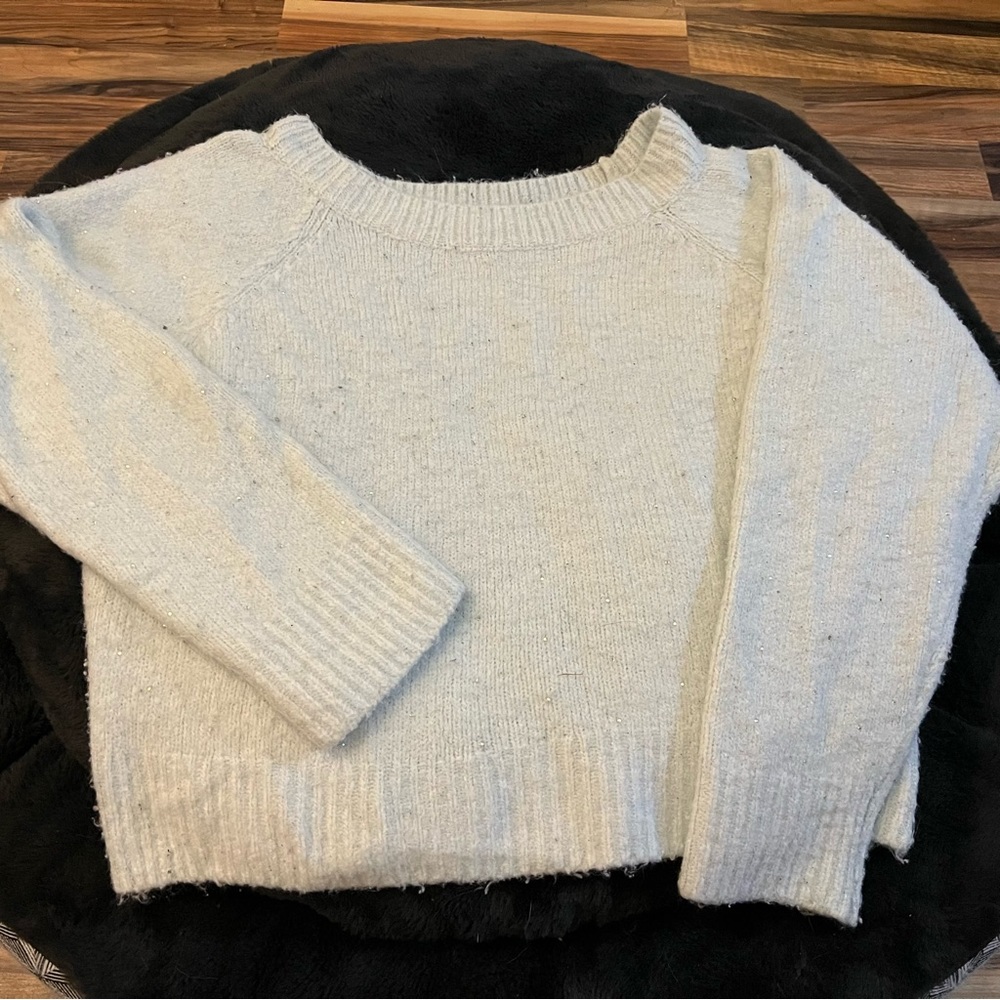 VS crew sweater crop LG